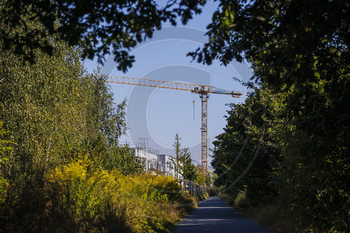 Neubau von Wohnungen