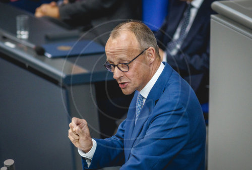 Friedrich Merz im Bundestag