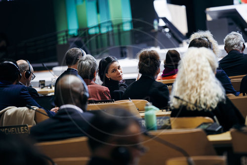 Annalena Baerbock auf der COP29 in Baku