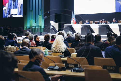 Annalena Baerbock auf der COP29 in Baku