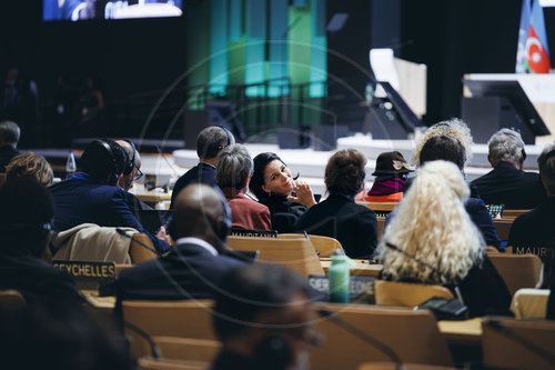 Annalena Baerbock auf der COP29 in Baku