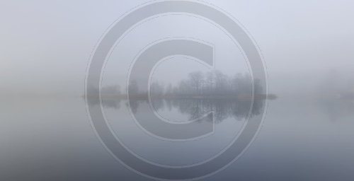 Nebel am See