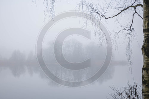 Nebel am See