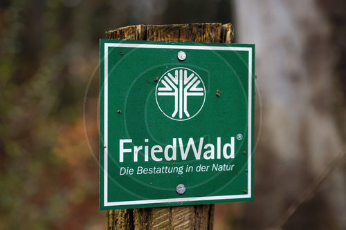 FriedWald