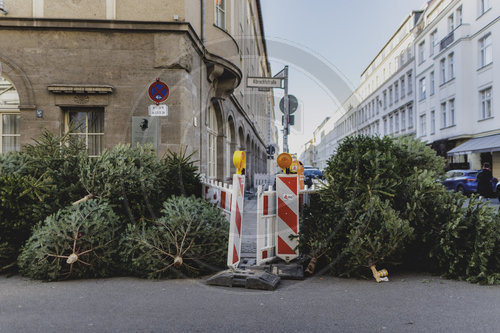 Entsorgung von Weihnachtsbaeumen