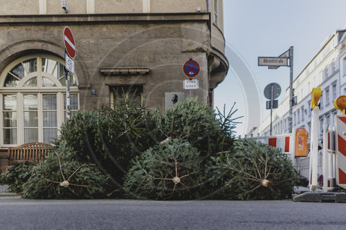 Entsorgung von Weihnachtsbaeumen