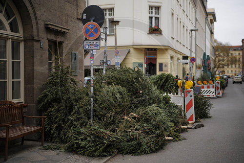 Weihnachtsbaeume auf der Strasse