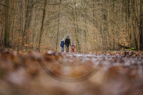 Spaziergang im Wald