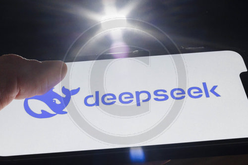 DeepSeek Logo