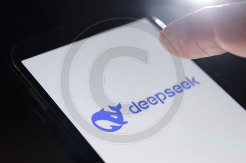 DeepSeek Logo