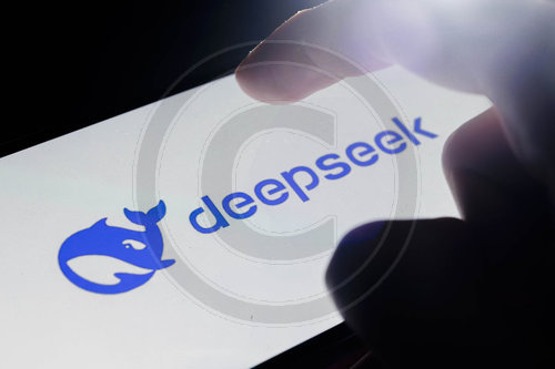 DeepSeek Logo