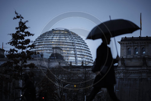 Deutscher Bundestag