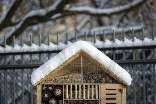 Insektenhotel im Schnee