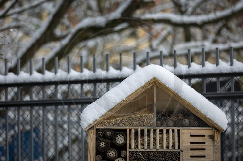 Insektenhotel im Schnee