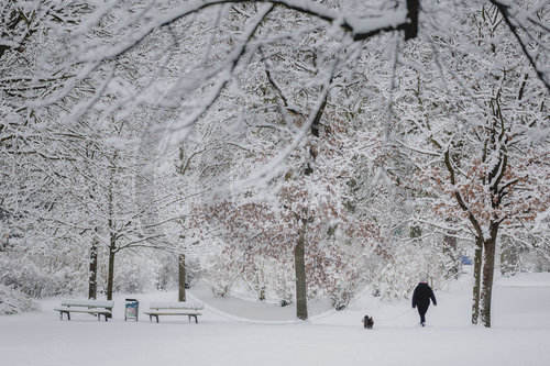 Winter in Berlin