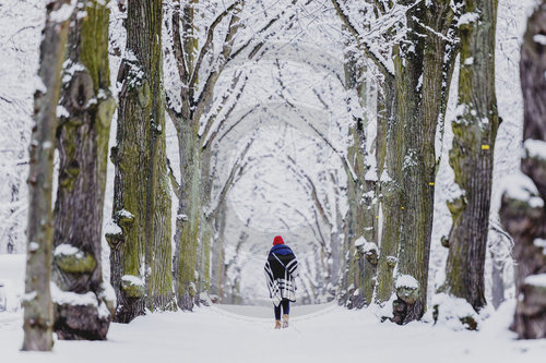 Winter in Berlin