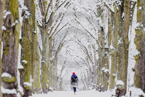 Winter in Berlin