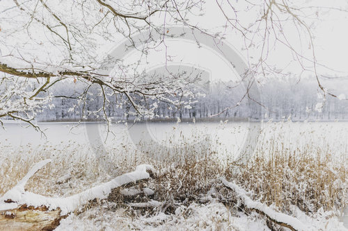 Winter in Berlin