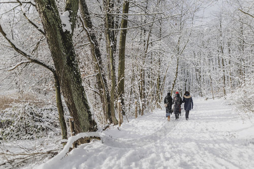 Winter in Berlin