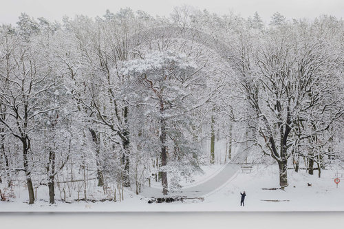 Winter in Berlin