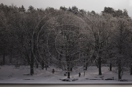 Winter in Berlin