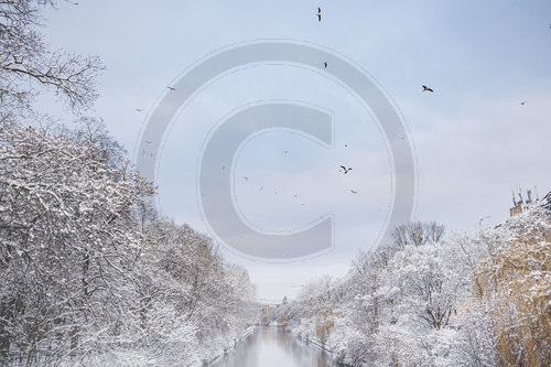 Verschneiter Landwehrkanal