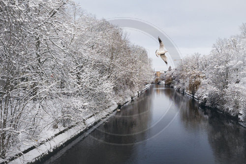 Verschneiter Landwehrkanal