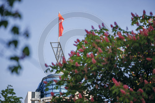 Willy-Brandt-Haus