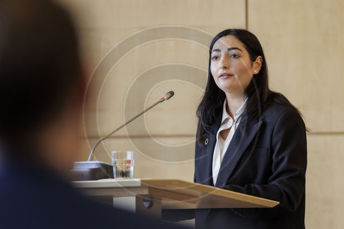 Reem Alabali-Radovan
