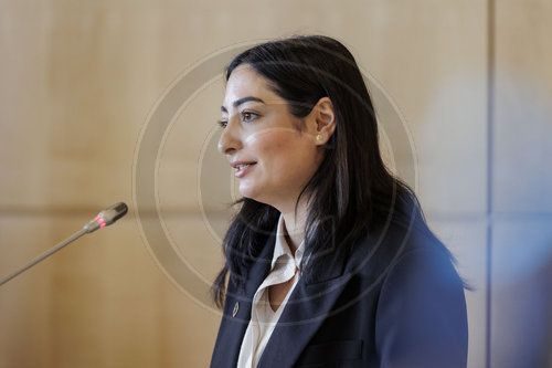 Reem Alabali-Radovan