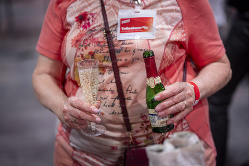 Parteitag DIE LINKE