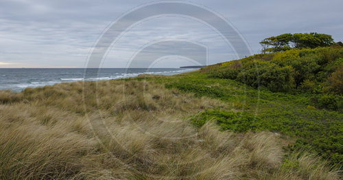 Weststrand - Darss