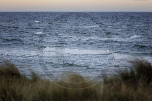 Weststrand - Darss