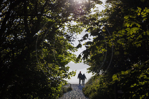 Weststrand - Darss