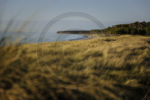 Weststrand - Darss