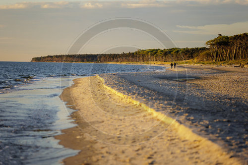 Weststrand - Darss
