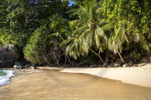 Strand auf Mathe / Seychellen