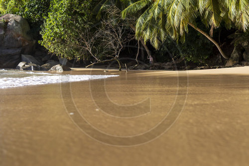 Strand auf Mathe / Seychellen
