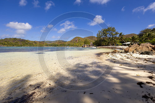 Tropischer Sandstrand