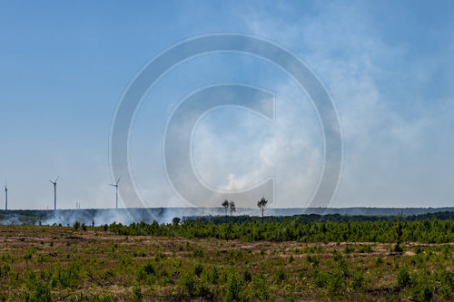 Waldbrand Frohnsdorf