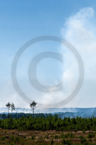 Waldbrand Frohnsdorf