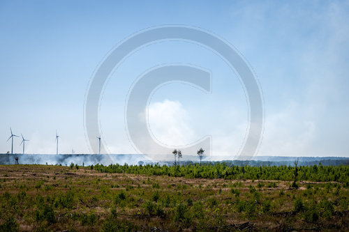 Waldbrand Frohnsdorf