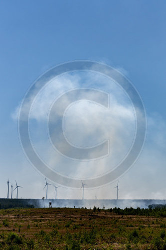 Waldbrand Frohnsdorf