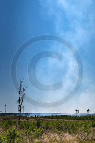Waldbrand Frohnsdorf