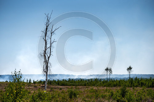 Waldbrand Frohnsdorf