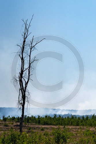 Waldbrand Frohnsdorf