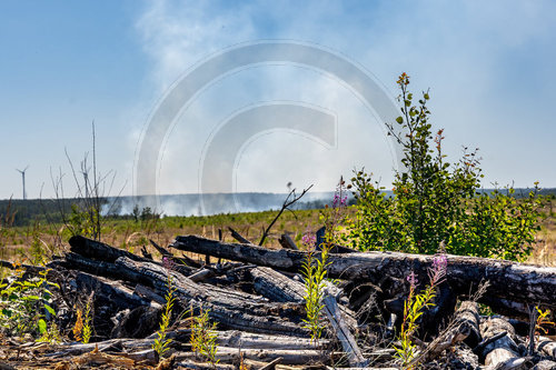 Waldbrand Frohnsdorf