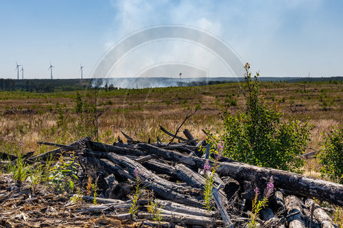 Waldbrand Frohnsdorf