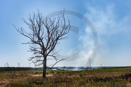 Waldbrand Frohnsdorf