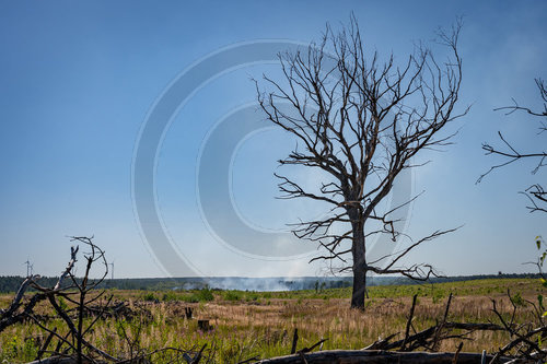 Waldbrand Frohnsdorf